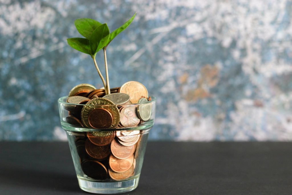Save money and invest it wisely. Sooner or later the little plant will grow to a tree. Live reasonably and be frugal !
